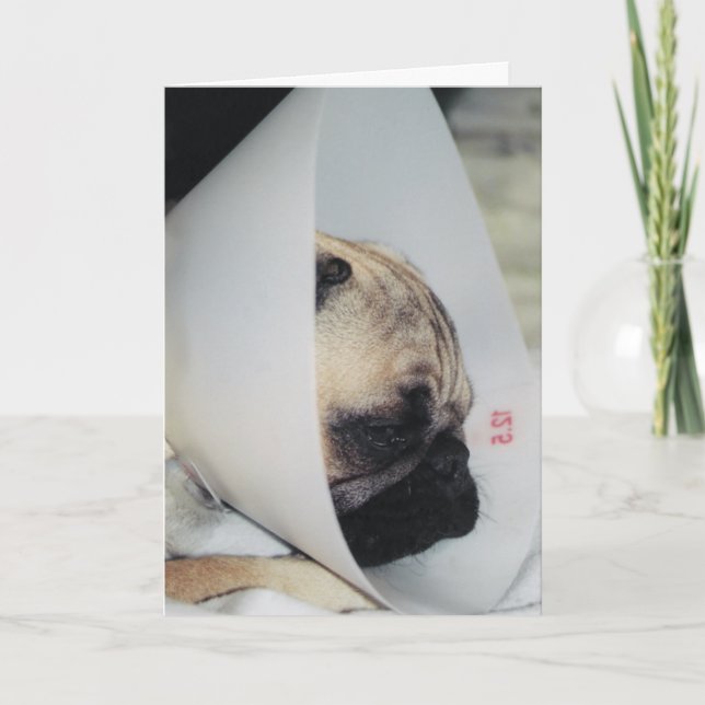 Puggy Get Well Greeting Card (Front)