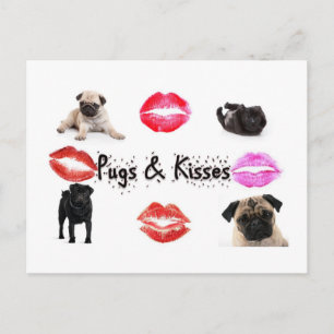 Pugs and Kisses Postcard