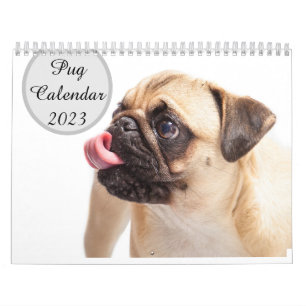 Pugs Calendar 2023