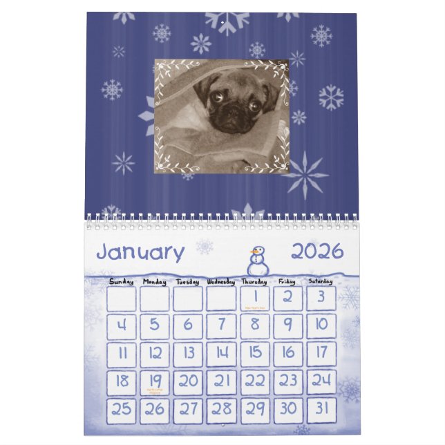 Pugs Galore Calendar (Jan 2026)