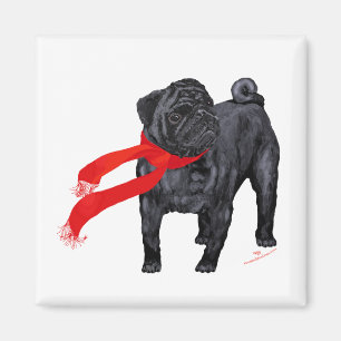 Pugs in Red Scarf Magnet