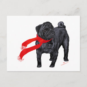 Pugs in Red Scarf Postcard