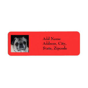 Pugs & Kisses Label Return Address Label