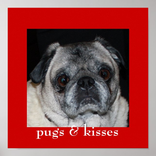 Pugs & Kisses Poster (Front)