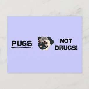 Pugs Not Drugs Postcard