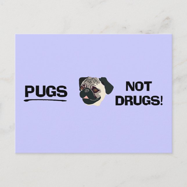 Pugs Not Drugs Postcard (Front)
