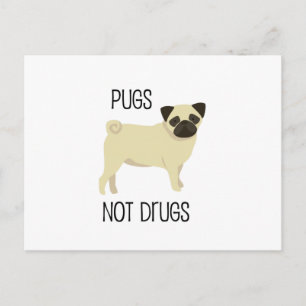 Pugs not drugs postcard