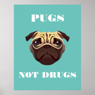 Pugs not drugs poster