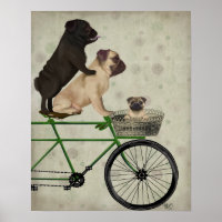 Pugs on Bicycle