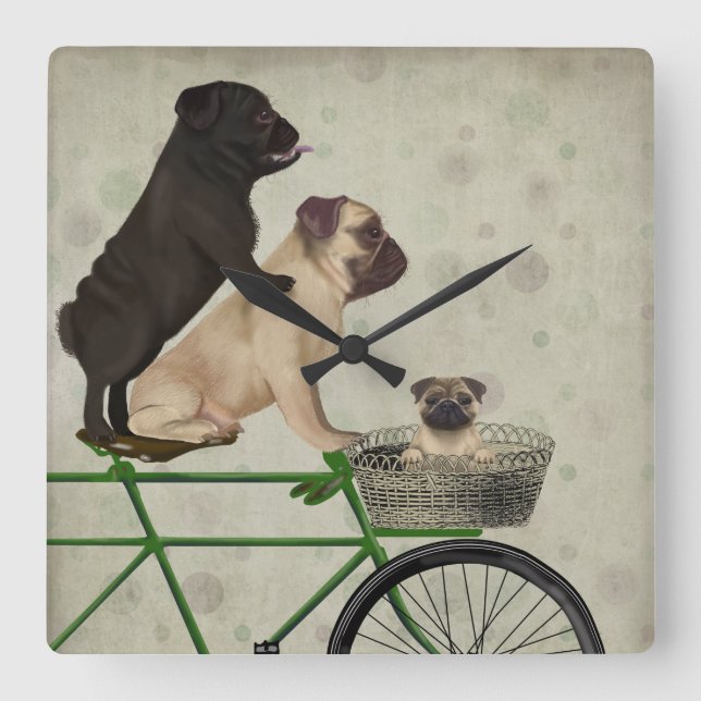 Pugs on Bicycle Square Wall Clock (Front)