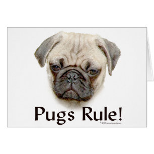 Pugs Rule