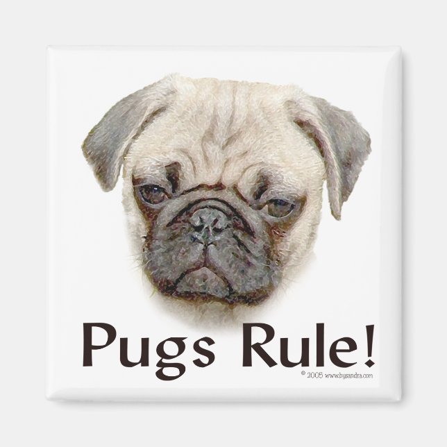 Pugs Rule Magnet (Front)