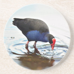 Pukeko Coaster