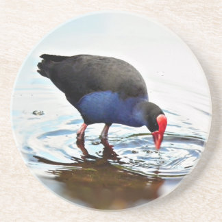Pukeko Coaster