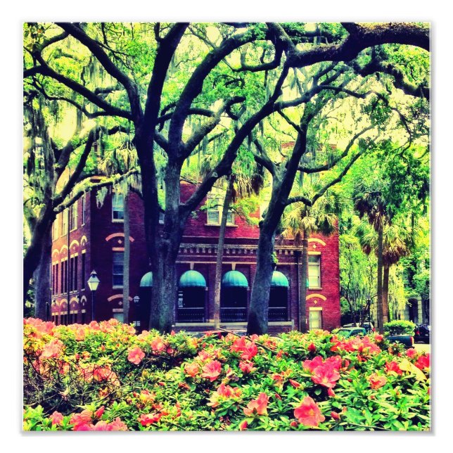 Pulaski Square, Savannah Photo Print (Front)