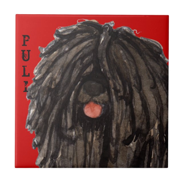 Puli Colour Block Ceramic Tile (Front)