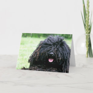 Puli Dog Greeting Cards