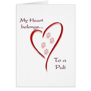 Puli Heart Belongs