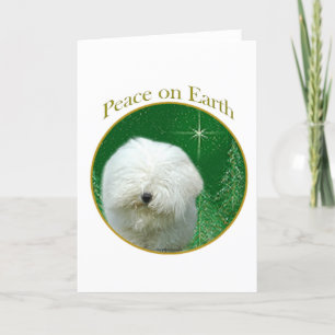 Puli Peace Holiday Card