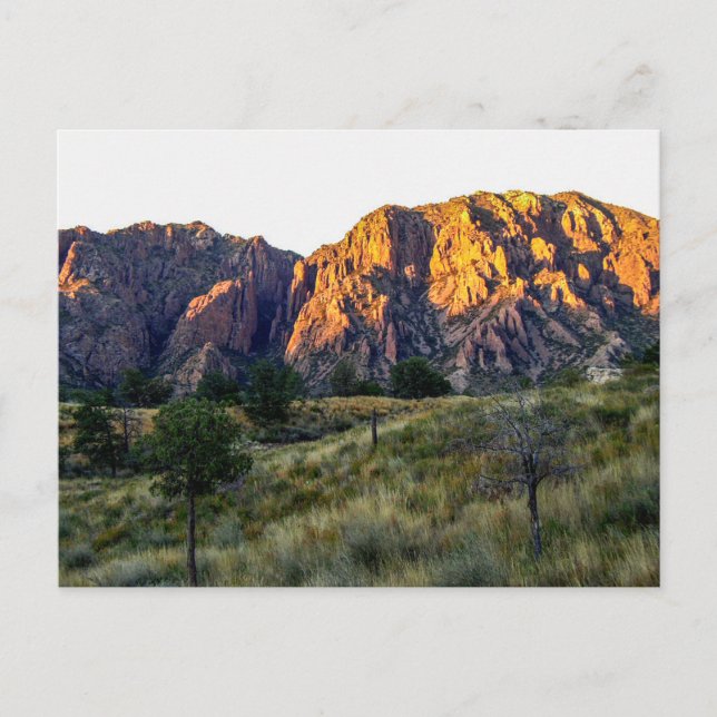 Pulliam Ridge, Big Bend National Park, Texas Postcard (Front)
