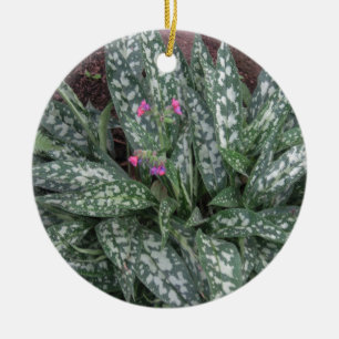 Pulmonaria - Lungwort perennial Ceramic Ornament