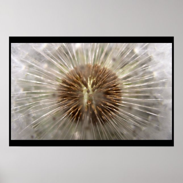 Pulsar Poster (Front)