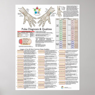 Pulse Diagnosis Acupuncture TCM Poster