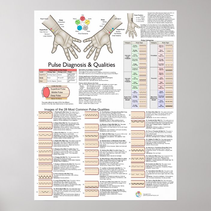 pulse-diagnosis-acupuncture-tcm-poster-zazzle-au