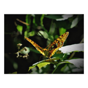 "Pulsing Joy" Photo Print