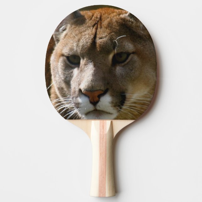 Puma Cat Ping Pong Paddle (Front)