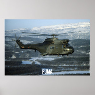 Puma helicopter poster