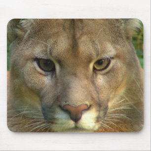 Puma Mountain Cat Mouse Pad