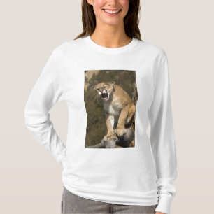 Puma or mountain lion, puma concolor, Captive - T-Shirt