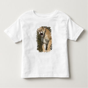 Puma or mountain lion, puma concolor, Captive - Toddler T-Shirt