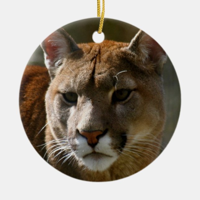 Puma Ornament (Front)