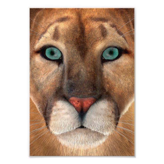 Puma Photo Print (Front)