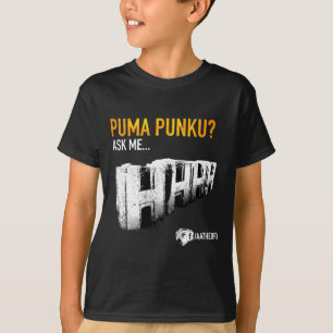 Puma Punku temple T-Shirt