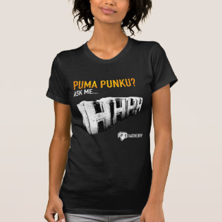 Puma Punku temple T-Shirt