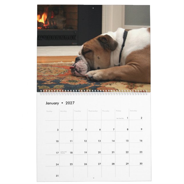 Pumbaa Calendar (Jan 2027)