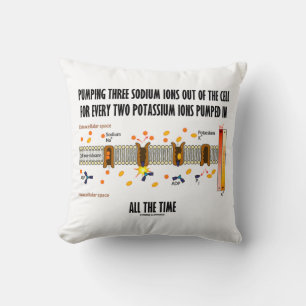 Pumping Three Sodium Ions Out Of Cell Na-K Pump Cushion