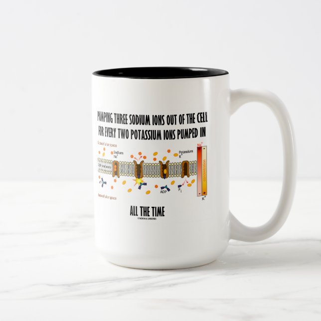 Pumping Three Sodium Ions Out Of Cell (Na-K Pump) Two-Tone Coffee Mug (Right)