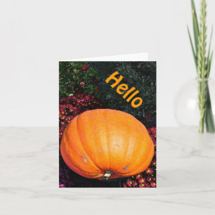 PUMPKIN AMONG THE FLOWERS(PHOTOG) CARD