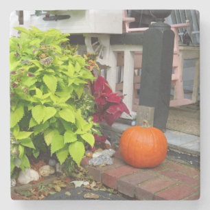 Pumpkin and Coleus - Martha's Vineyard Stone Coaster