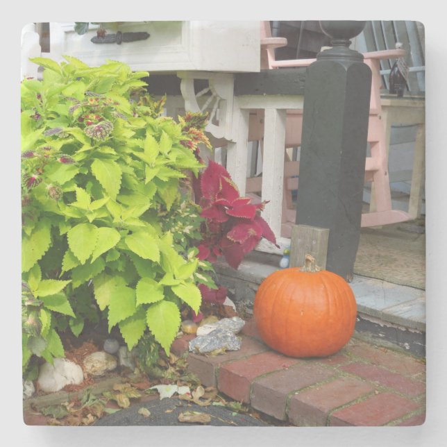 Pumpkin and Coleus - Martha's Vineyard Stone Coaster (Front)