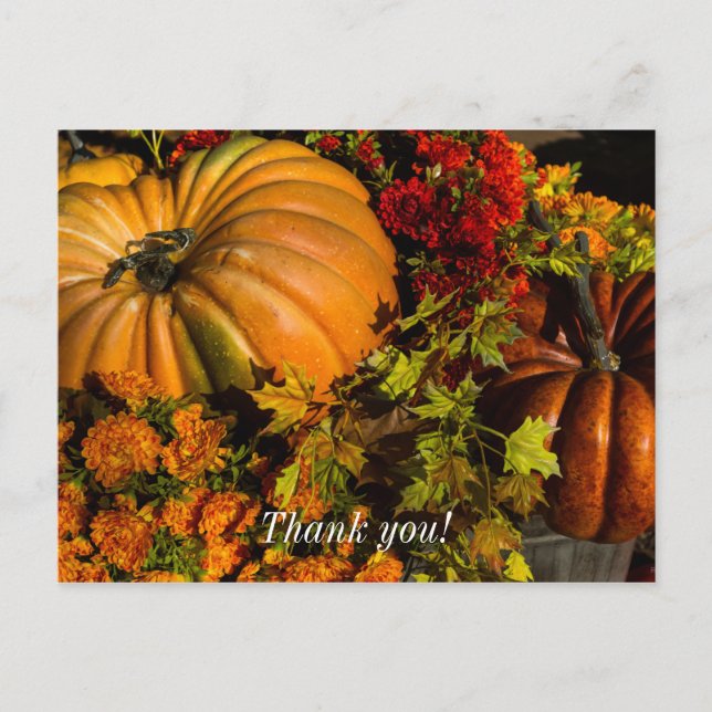 Pumpkin And Mum Arrangement Postcard (Front)