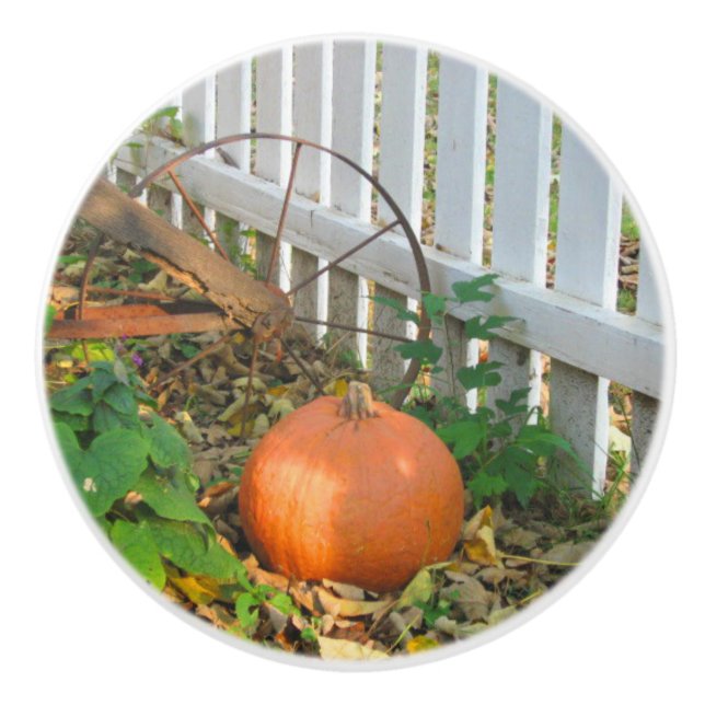 Pumpkin and Plough Ceramic Knob (Front)