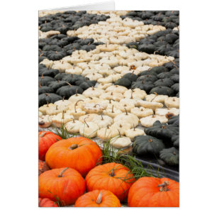 Pumpkin and squash pattern, Germany