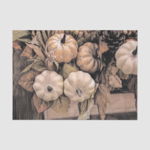 Pumpkin Autumn Orange White Brown Vintage Antique Tissue Paper