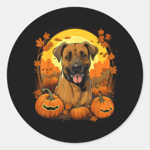 Pumpkin Black Mouth Cur Dog Halloween Thanksgiving Classic Round Sticker