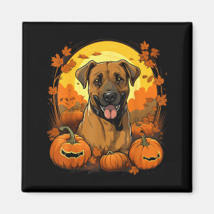 Pumpkin Black Mouth Cur Dog Halloween Thanksgiving Magnet